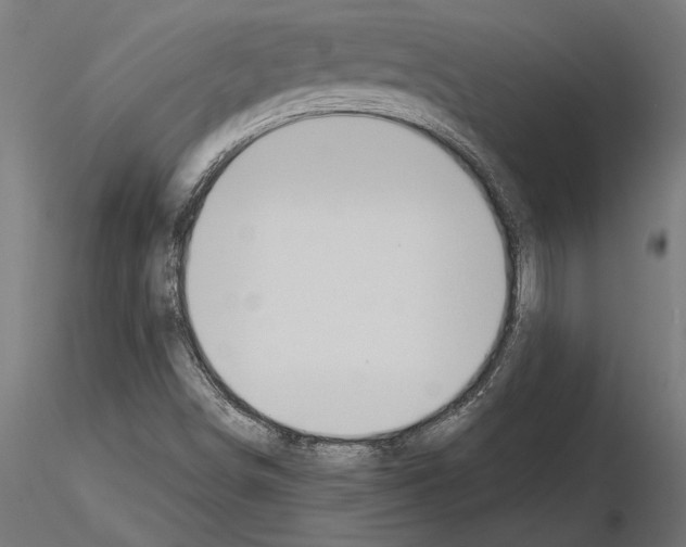 X0000115261498200912111128