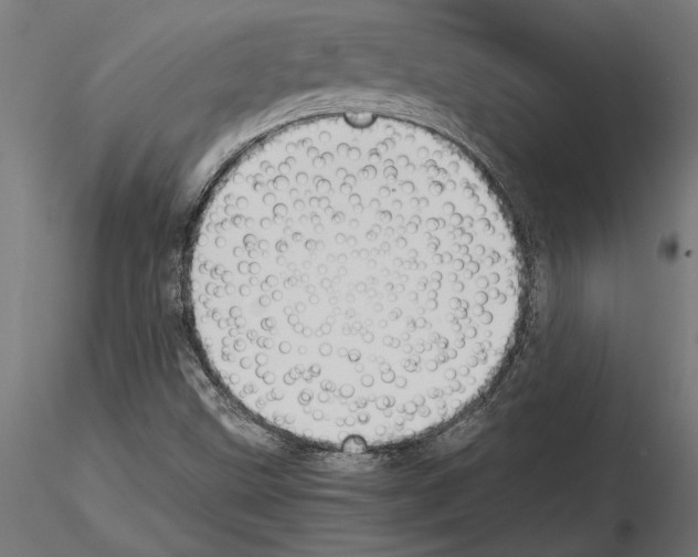 X0000115261499200912111128