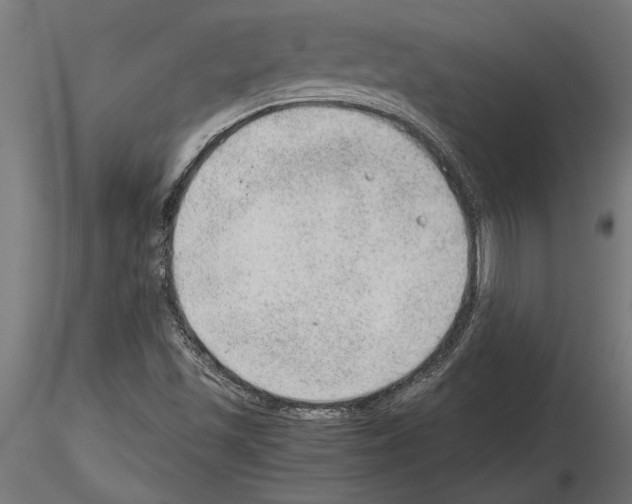 X0000115261501200912111128