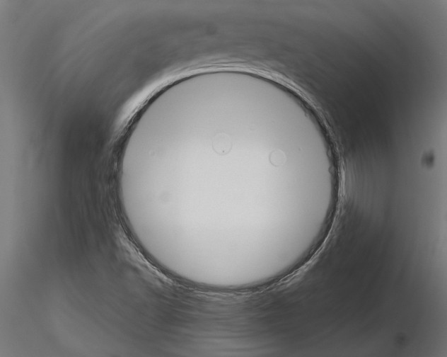 X0000115261502200912111128