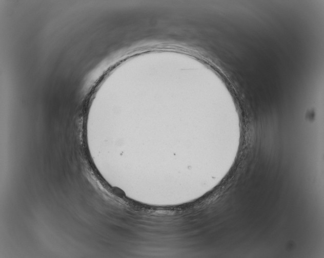 X0000115261503200912111128