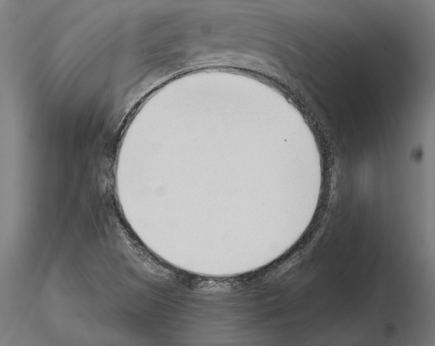 X0000115261505200912111128