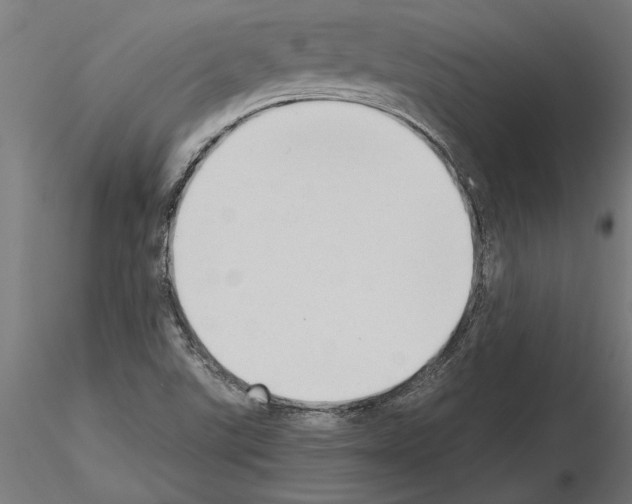 X0000115261507200912111128