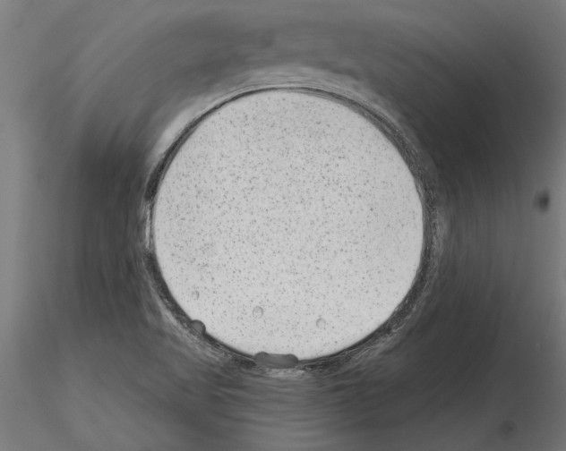 X0000115261509200912111128