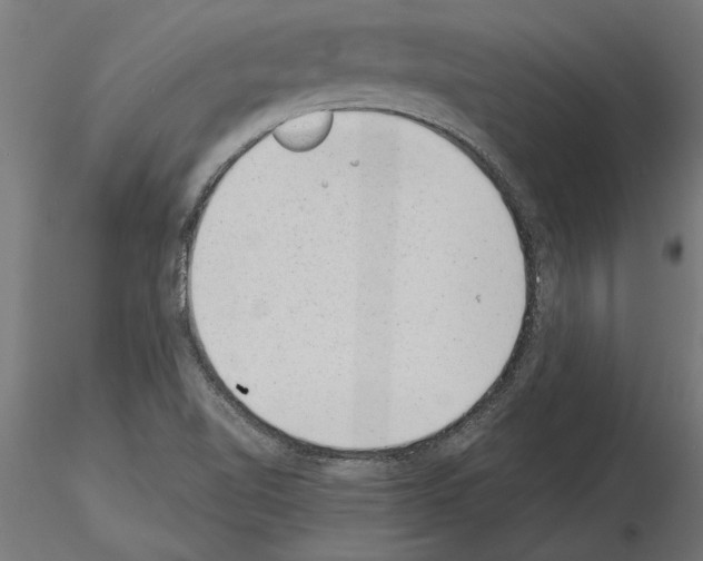 X0000115261510200912111128