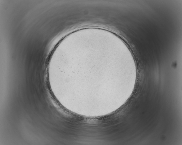 X0000115261511200912111128