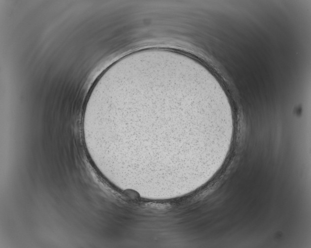 X0000115261513200912111128