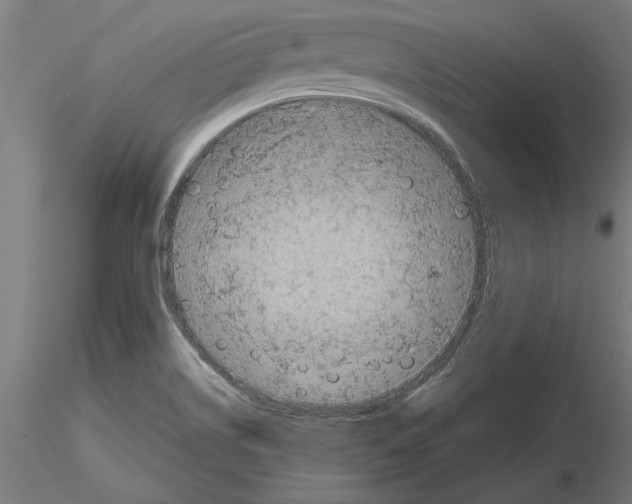 X0000115261514200912111128