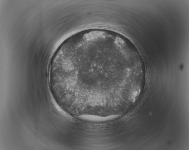 X0000115261515200912111128