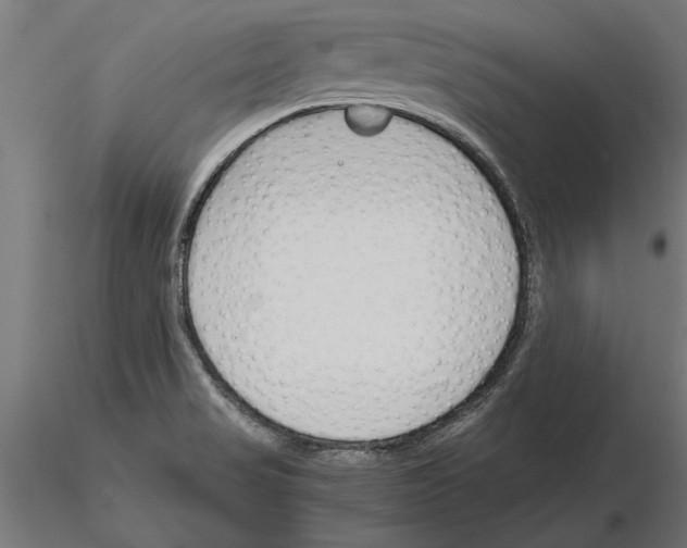 X0000115261517200912111128