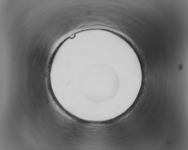 X0000115261518200912111128