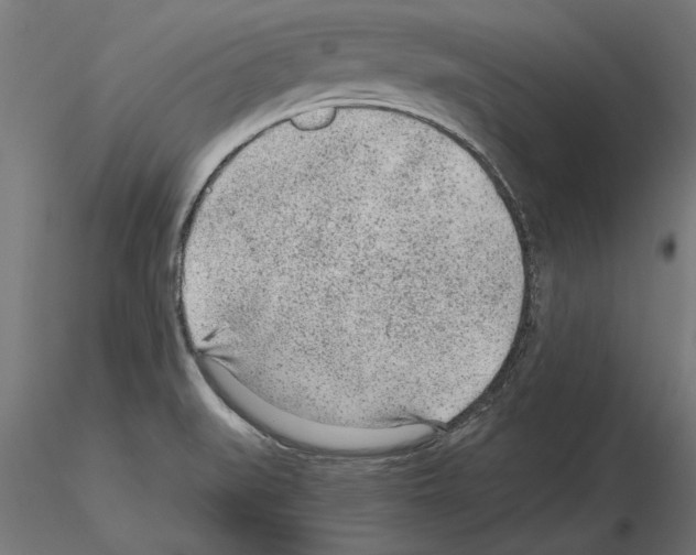 X0000115261519200912111128