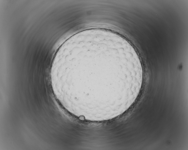 X0000115261521200912111128