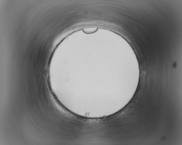 X0000115261523200912111128