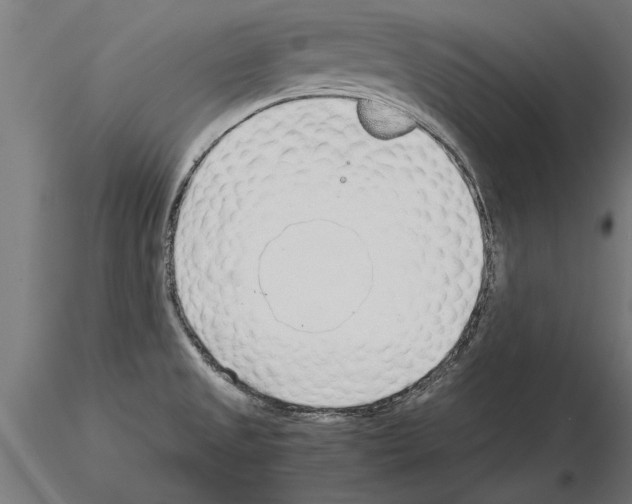 X0000115261525200912111128