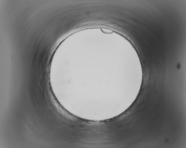 X0000115261526200912111128