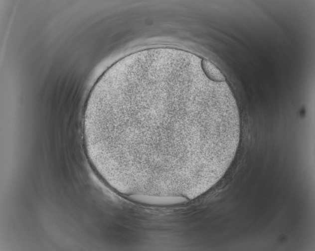 X0000115261527200912111128