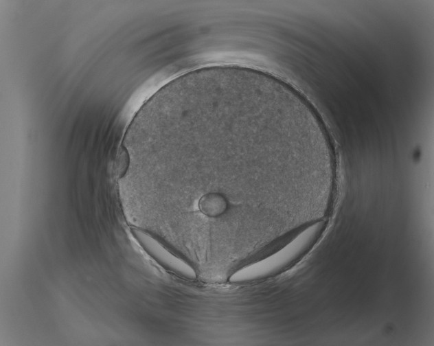 X0000115261529200912111128