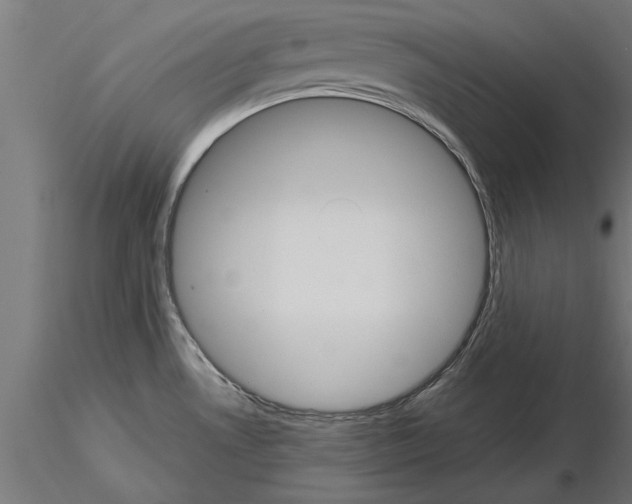 X0000115261530200912111128