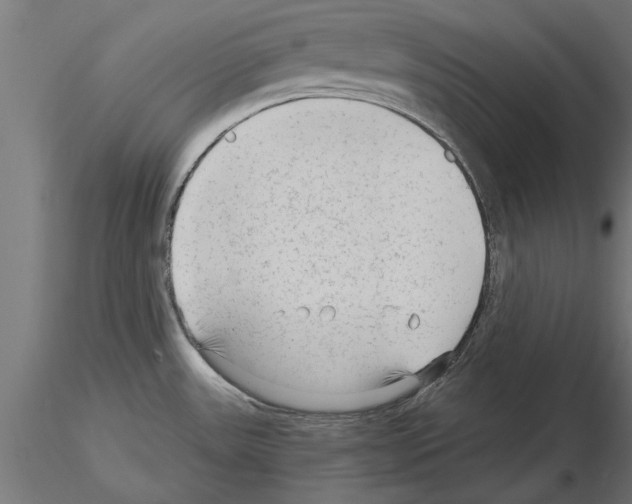 X0000115261531200912111128