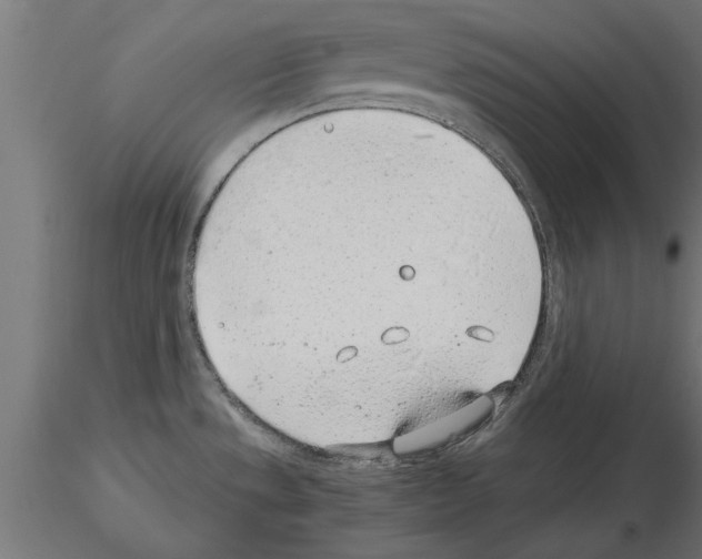 X0000115261533200912111128