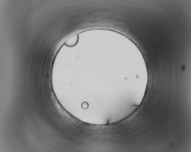 X0000115261534200912111128