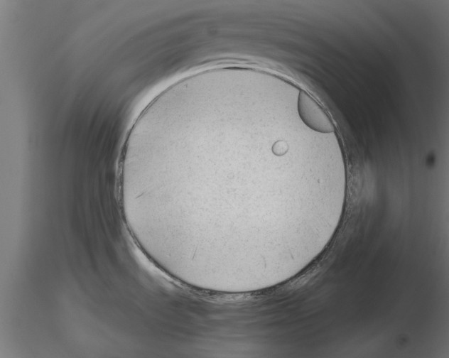 X0000115261535200912111128