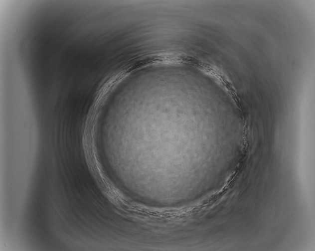 X0000115270001200911061317
