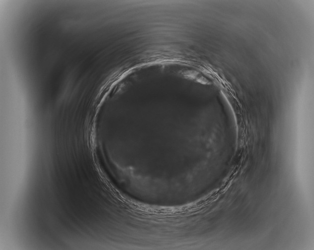 X0000115270002200911061317