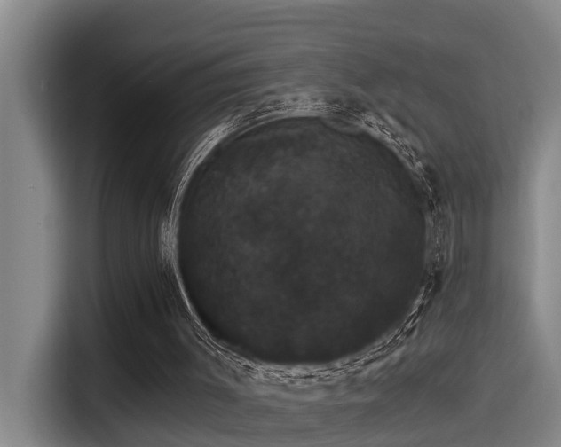 X0000115270003200911061317