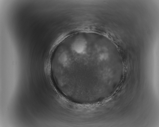 X0000115270005200911061317