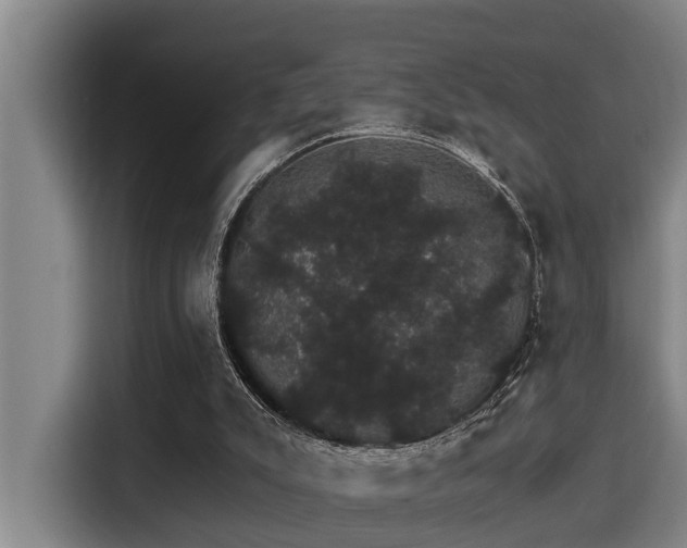 X0000115270007200911061317