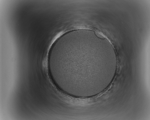 X0000115270008200911061317