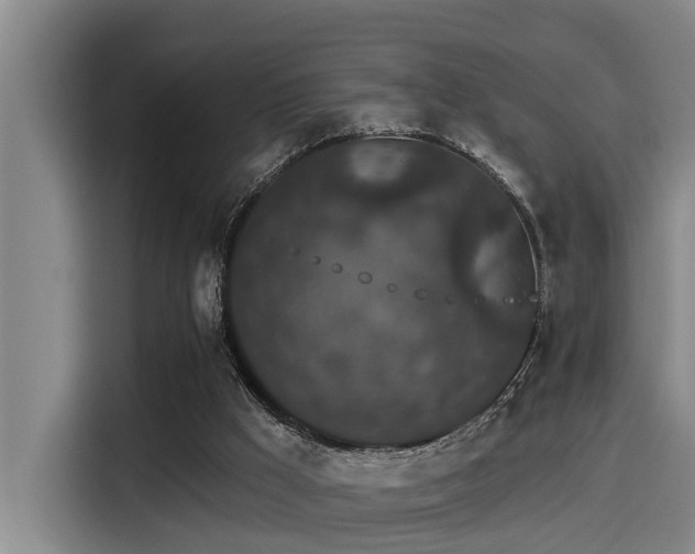 X0000115270009200911061317