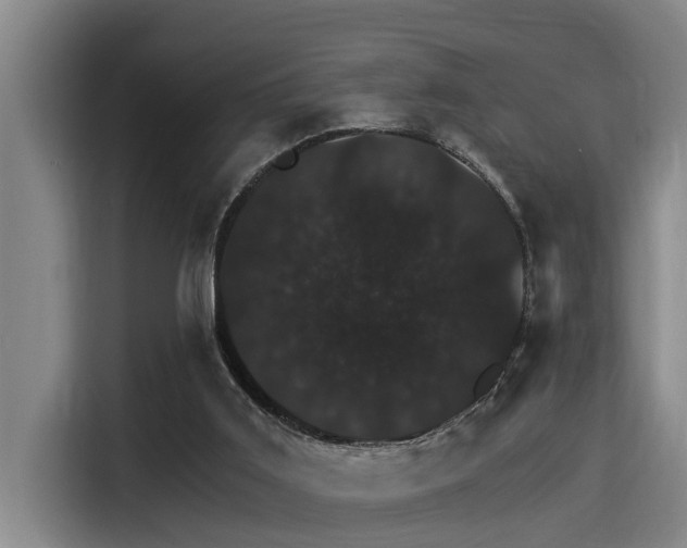 X0000115270011200911061317
