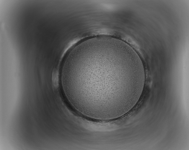 X0000115270012200911061317