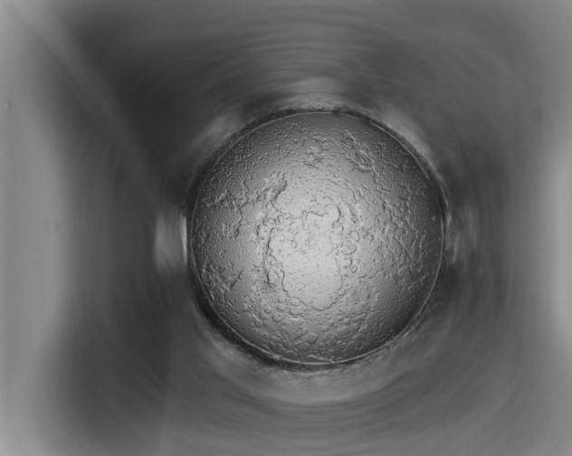 X0000115270013200911061317