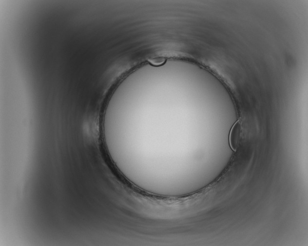 X0000115270015200911061317
