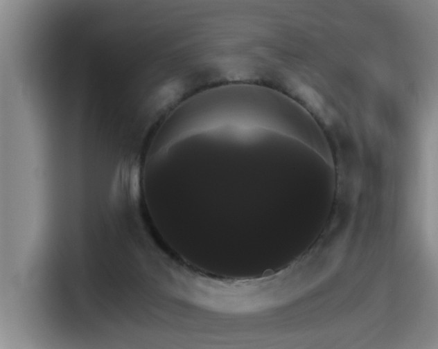 X0000115270019200911061317
