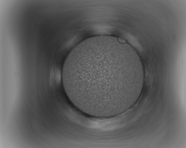 X0000115270021200911061317