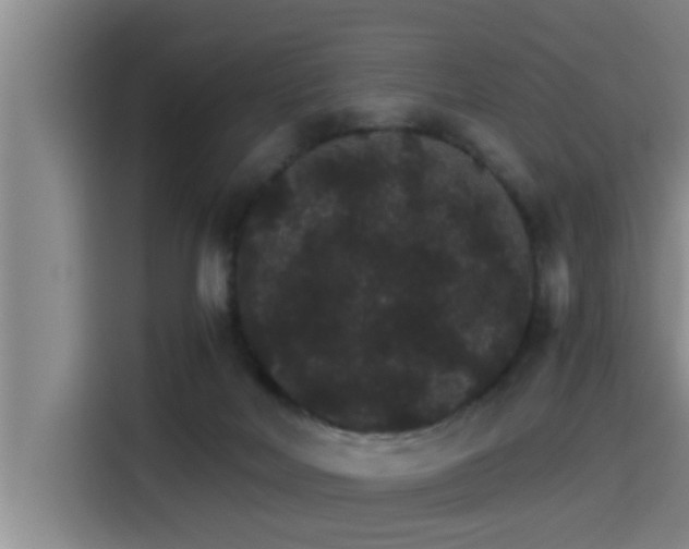 X0000115270026200911061317