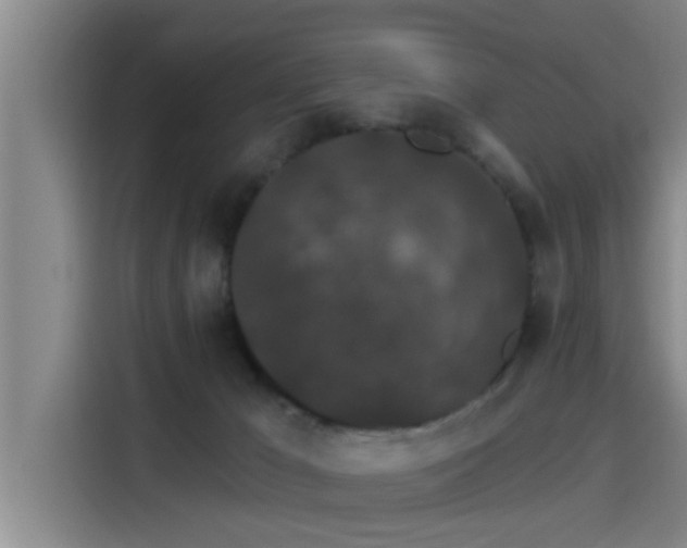 X0000115270029200911061317