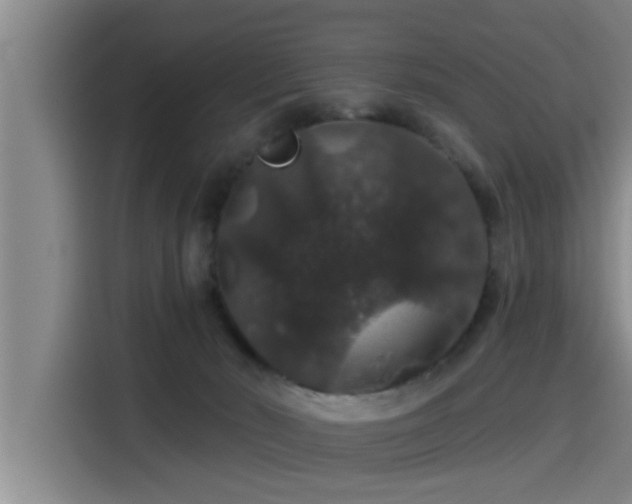 X0000115270030200911061317