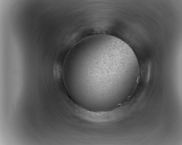 X0000115270038200911061316