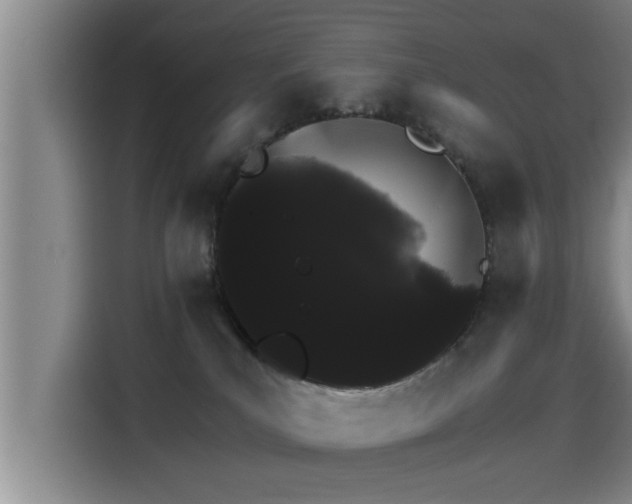 X0000115270039200911061316