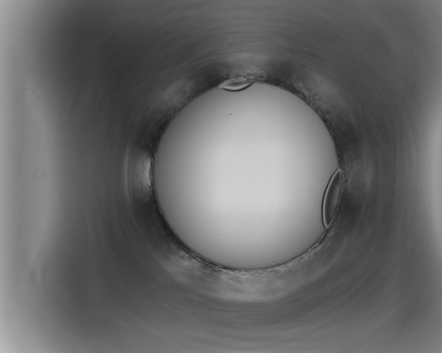 X0000115270041200911061316