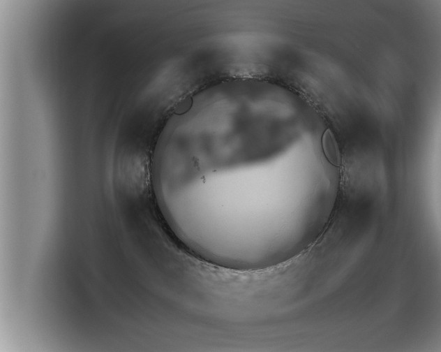 X0000115270043200911061316