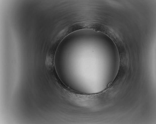 X0000115270044200911061316
