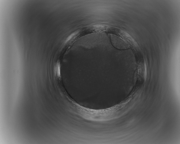 X0000115270046200911061316