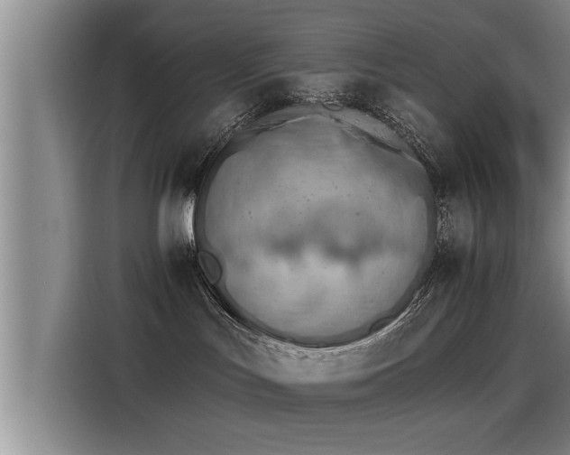 X0000115270047200911061316